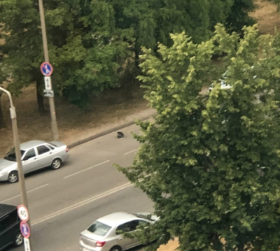 QIP Shot - Screen 2509.png QIP Shot - Screen 2509.png